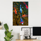 Poster Koi (Bureau à domicile)