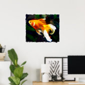 Poster Koi doré brillant dans l'étang de poisson foncé (Bureau à domicile)
