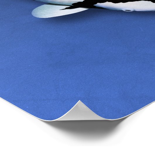 Poster Koi Elegance (Coin)