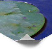 Poster Koi et Water Lily (Coin)