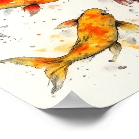 Poster Koi Fish  (Coin)