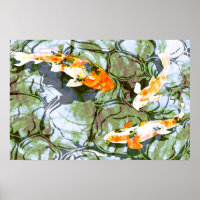 Poster Koi Fish Imprimer