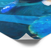 Poster Koi Fish JOY DE KOI (Coin)