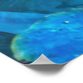 Poster Koi Fish JOY DE KOI (Coin)