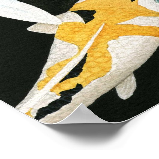 Poster Koi Pond (Coin)