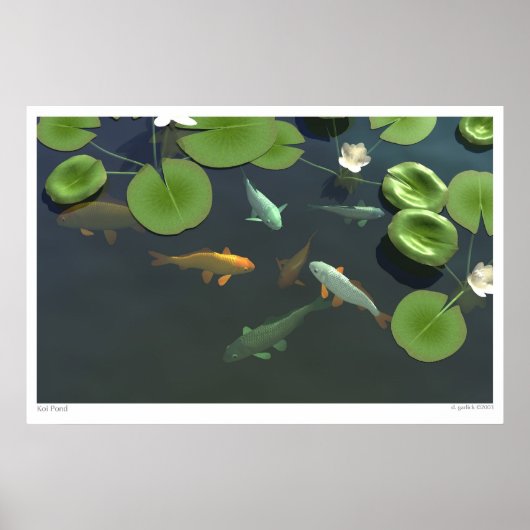 Poster Koi Pond (Devant)