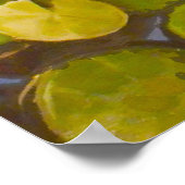 Poster Koi Pond avec des caleçons et des petits poissons (Coin)