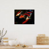 POSTER KOI ZEN (Cuisine)