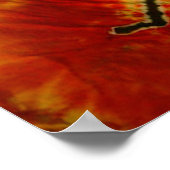 Poster Kokopelli Tie Dye (Coin)