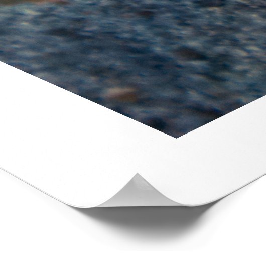 Poster Kombi azul (Coin)