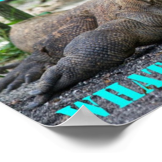 Poster Komodo Dragon (Coin)