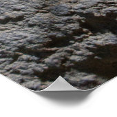 Poster Komodo Dragon Sticking Out Sa Langue (Coin)