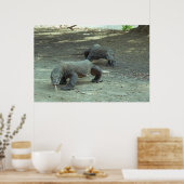Poster Komodo Dragons (Cuisine)
