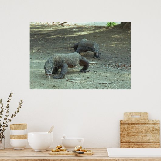 Poster Komodo Dragons (Cuisine)