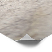 Poster Konica Autorex P (Coin)