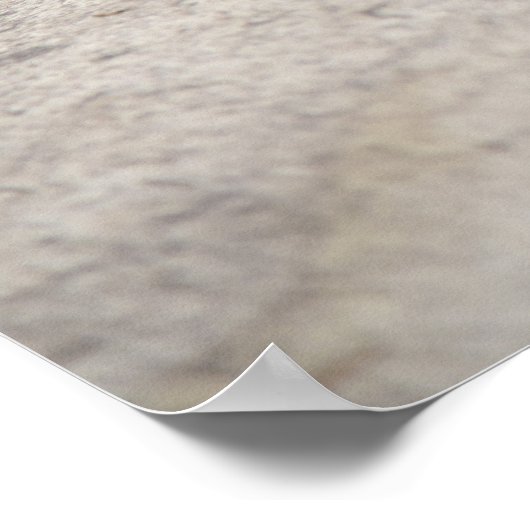 Poster Konica Autorex P (Coin)