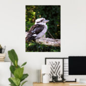 Poster Kookaburra (Bureau à domicile)