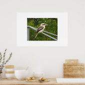 Poster Kookaburra (Cuisine)