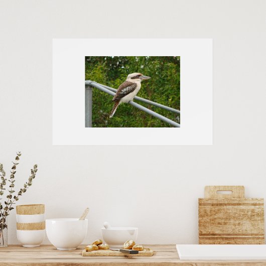 Poster Kookaburra (Cuisine)