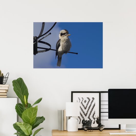 Poster Kookaburra (Bureau à domicile)