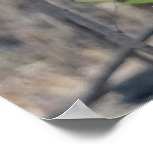 Poster Kookaburra Bird (Coin)