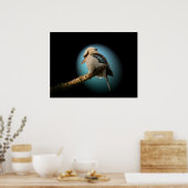 Poster Kookaburra sous les projecteurs (Cuisine)
