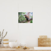 Poster Kookaburra sur branche (Cuisine)