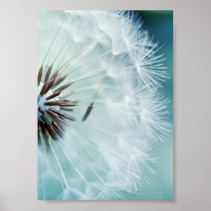 Poster - Koolblauw