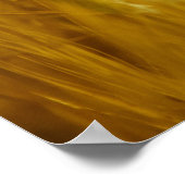 Poster Kornblume im Getreide (Coin)