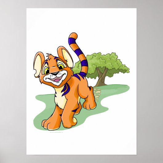 Poster Kougra orange aventuré sur Mystery Island (Devant)