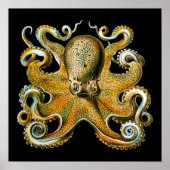 Poster Kraken Octopus | Animal Cool (Devant)