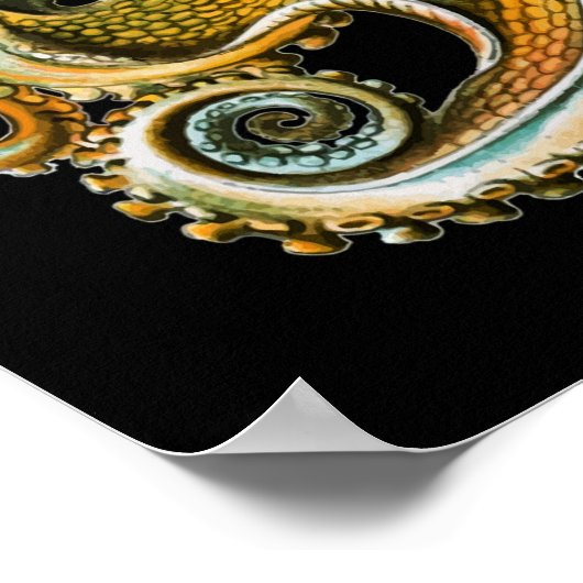 Poster Kraken Octopus | Animal Cool (Coin)