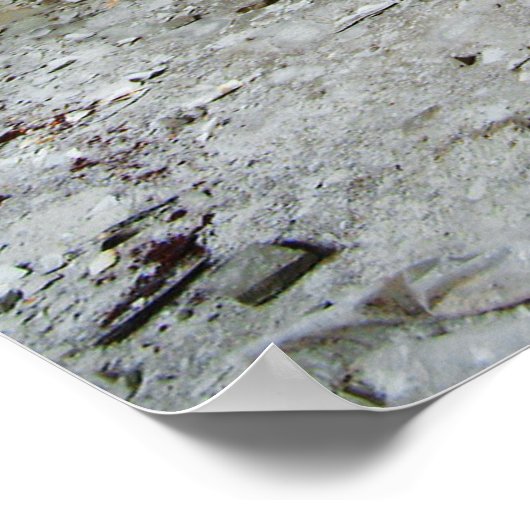 Poster Krankenzimmer (Coin)