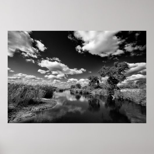 Poster Kruger Quiescence (Devant)