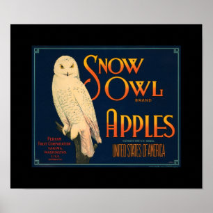 Poster KRW Vintage Chouette à neige pomme Fruit Crate Lab