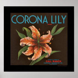Poster KRW Vintage Corona Lily Orange Crate Étiquette