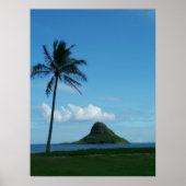 Poster Kualoa 1 (Devant)