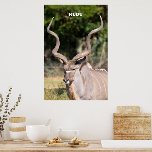 Poster Kudu (Cuisine)