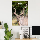 Poster Kudu (Bureau à domicile)