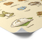 Poster Kueh | 粿 II (A4) (Coin)