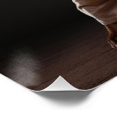 Poster Kung Fu Brown Pointer pureba chien arts martiaux (Coin)