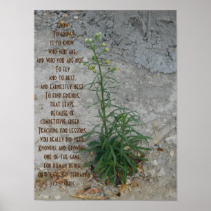 POSTER KUNST EN DESIGN STIJL