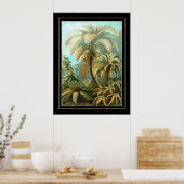 Poster  kunstenaar Ernst Haeckel Filicinae (Keuken)