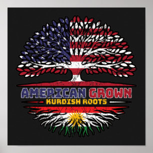 Poster Kurdistan Kurdish US American États-Unis Tr