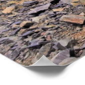 Poster Kurious Kea (Coin)