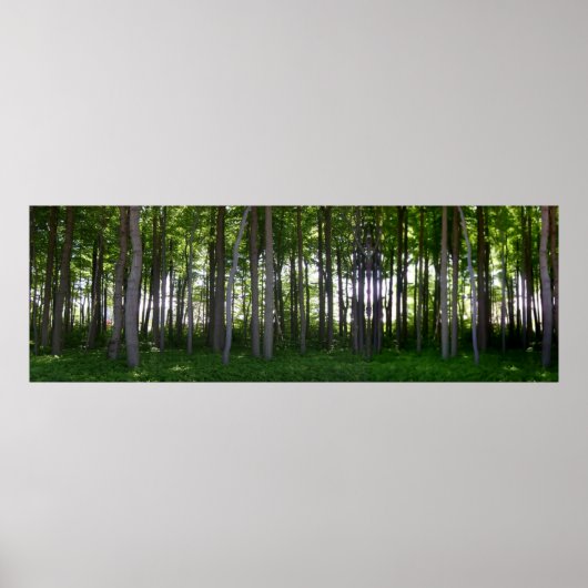 Poster Küstenschutzwald. (Devant)