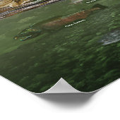 Poster kustregenwoud (Hoek)