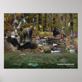 Poster kustregenwoud