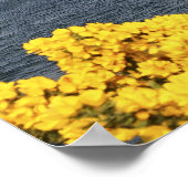 Poster Kyleakin, Écosse. Les ruines antiques de 2 (Coin)