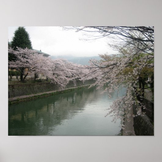 Poster Kyoto cherry blossoms (Devant)